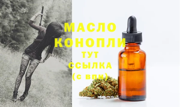 шишки Арсеньев