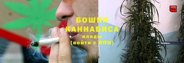 шишки Арсеньев