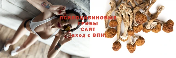 молекула духа Армянск