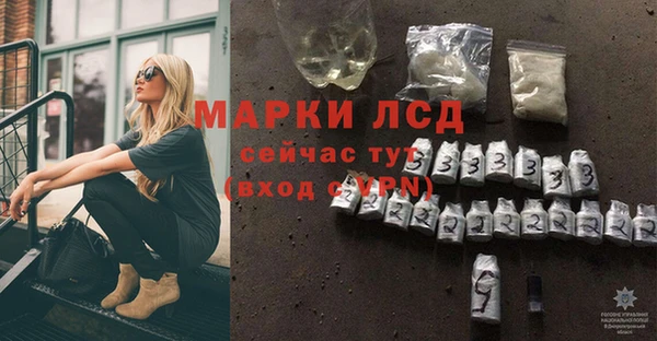 шишки Арсеньев