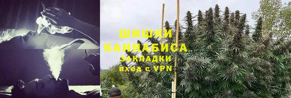 стаф Ростов