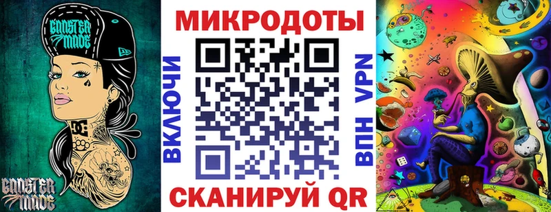 наркота  Сокол  Псилоцибиновые грибы Psilocybine cubensis 